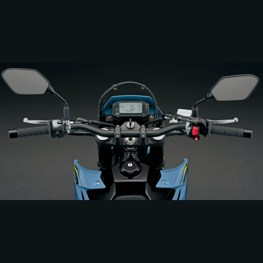 Suzuki DRZ4SM